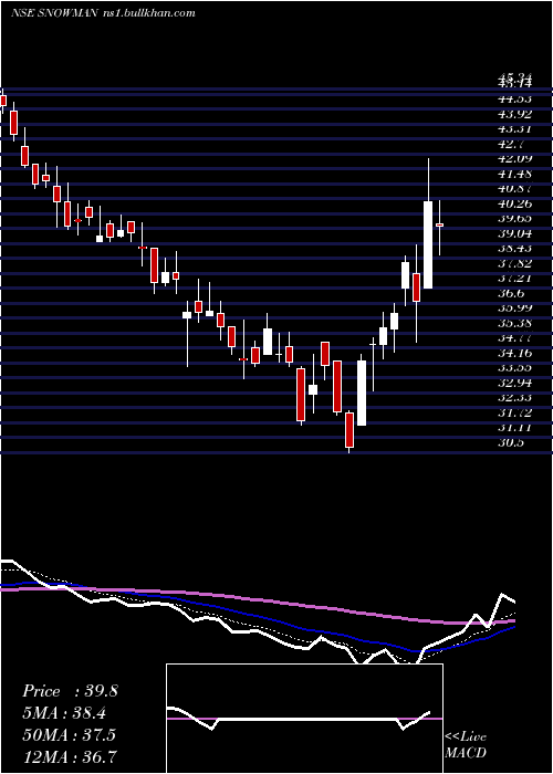  Daily chart SnowmanLogistics