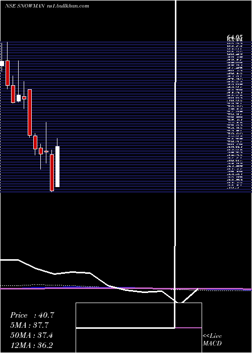  monthly chart SnowmanLogistics