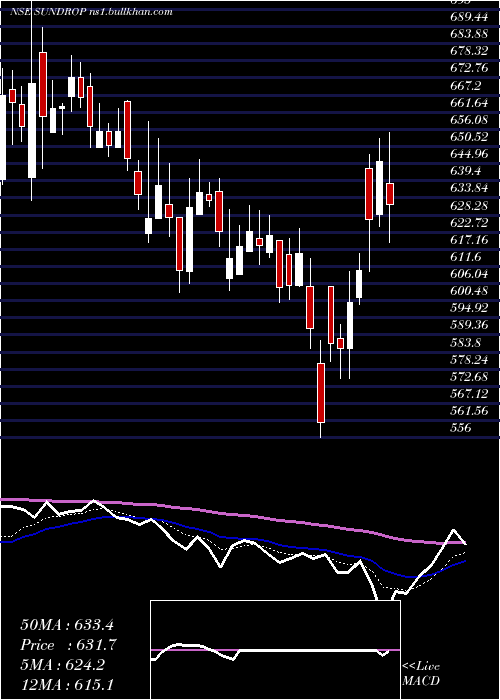  Daily chart SundropBrands