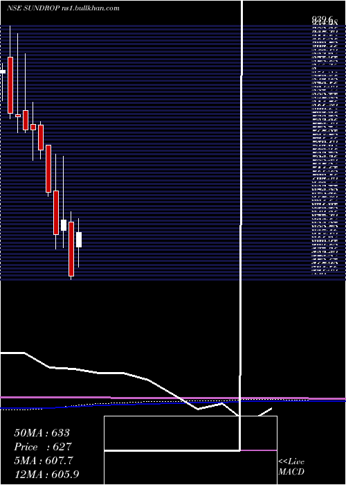  monthly chart SundropBrands