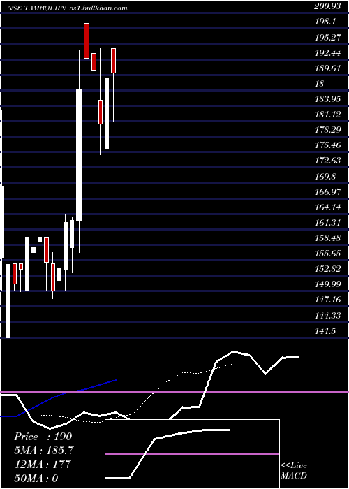  Daily chart TamboliIndustries