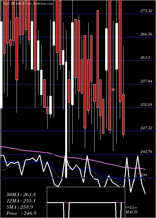  Daily chart TeamIndia