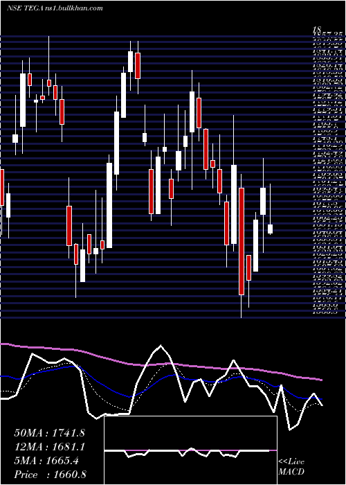  Daily chart TegaIndustries