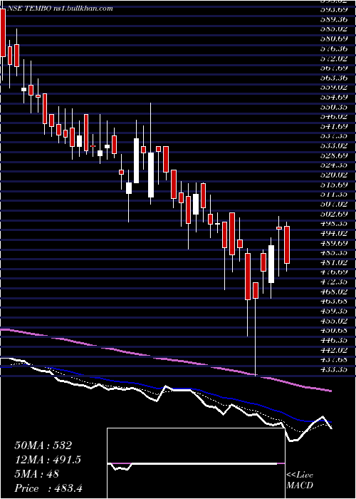  Daily chart TemboGlobal