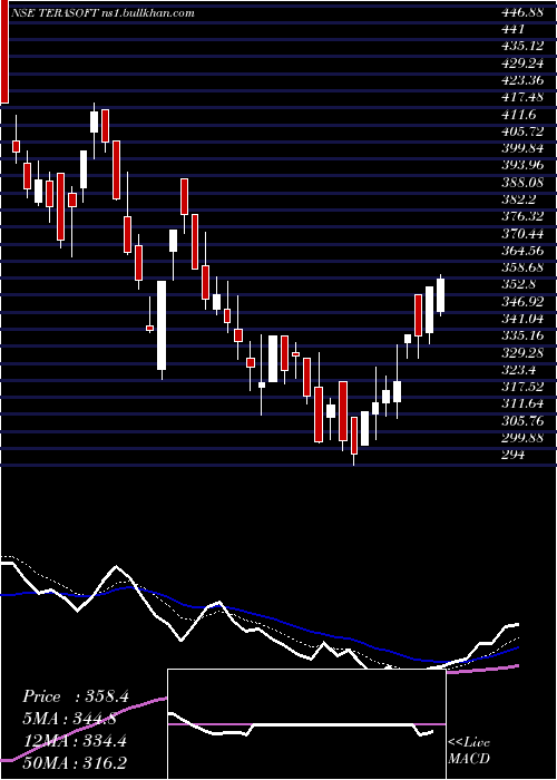  Daily chart TeraSoftware