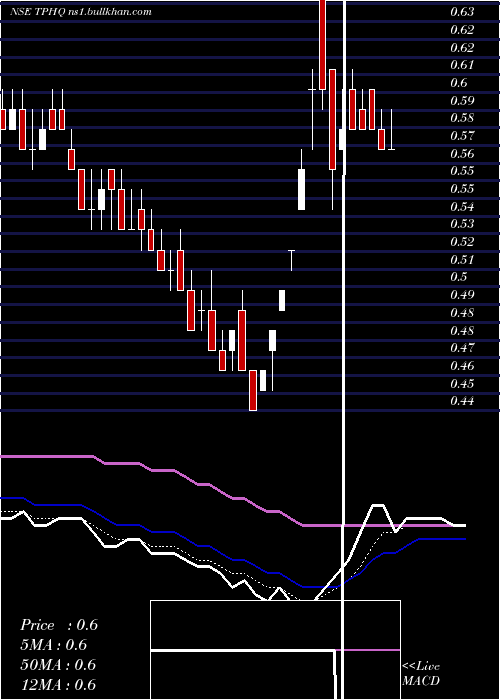  Daily chart TeamoProductions