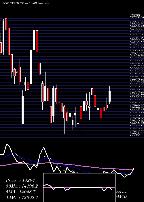  Daily chart TvsHoldings