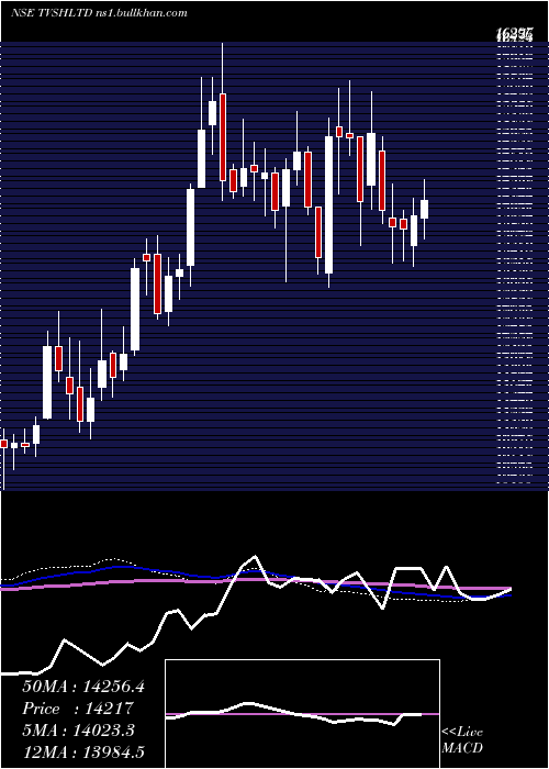  weekly chart TvsHoldings