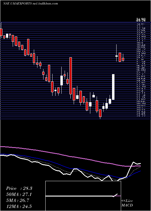  Daily chart UmaExports