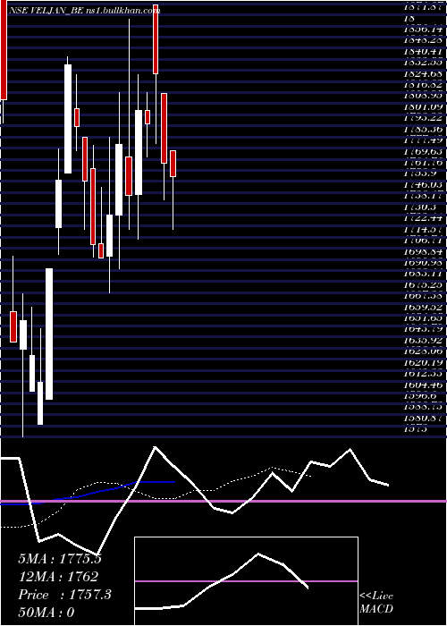  Daily chart VeljanDenison