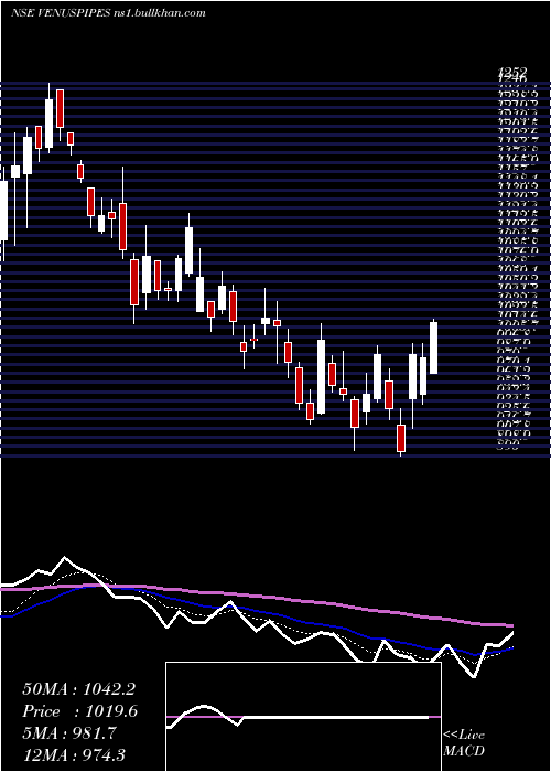  Daily chart VenusPipes