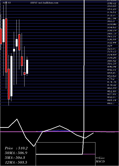  monthly chart VishnuChemicals