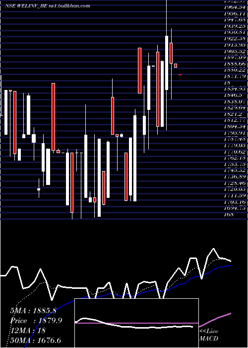  Daily chart WelspunInv