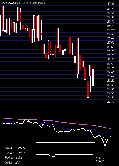  Daily chart WilliamsonMagor