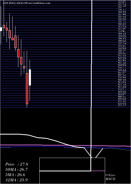  monthly chart WilliamsonMagor
