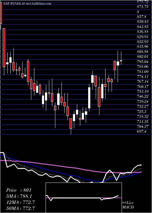  Daily chart WindlasBiotech