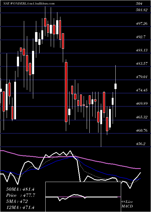  Daily chart WonderlaHolidays