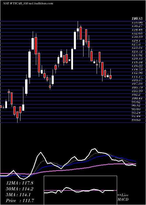  Daily chart WiseTravel