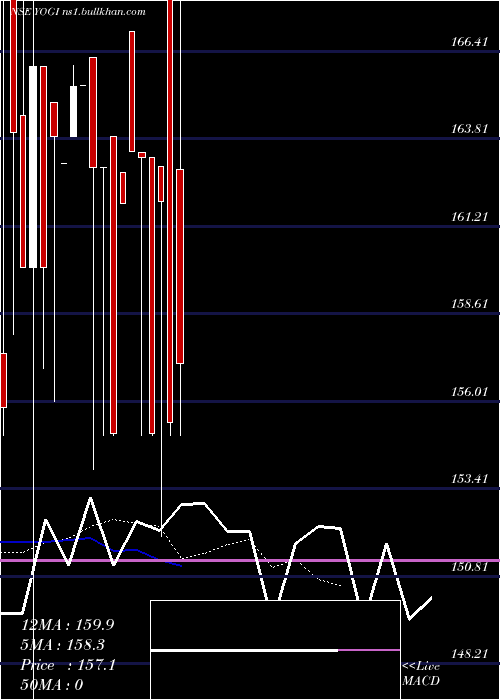  Daily chart Yogi