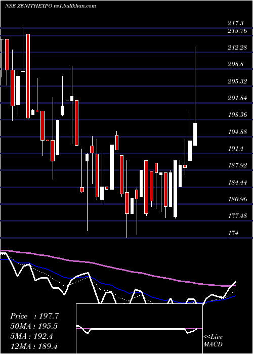  Daily chart ZenithExports