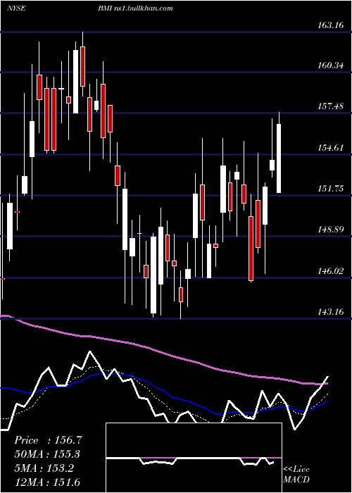  Daily chart BadgerMeter