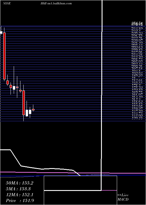  monthly chart BadgerMeter