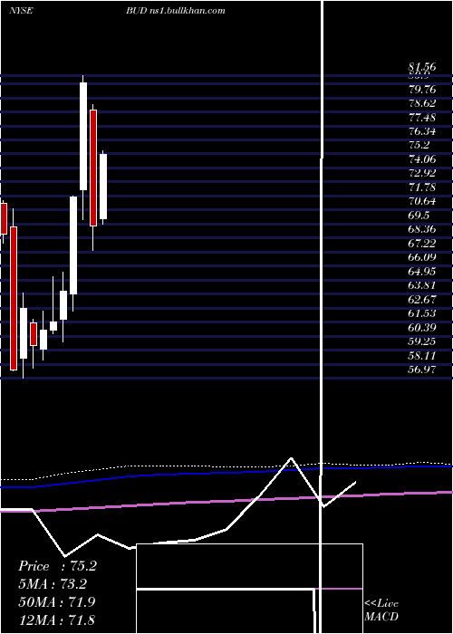  monthly chart AnheuserBusch