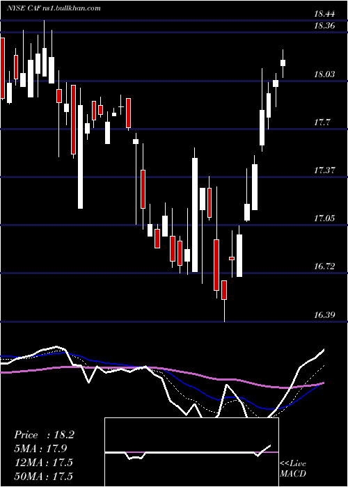  Daily chart MorganStanley