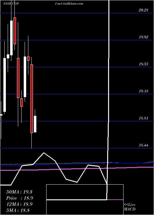  monthly chart CapitalOne