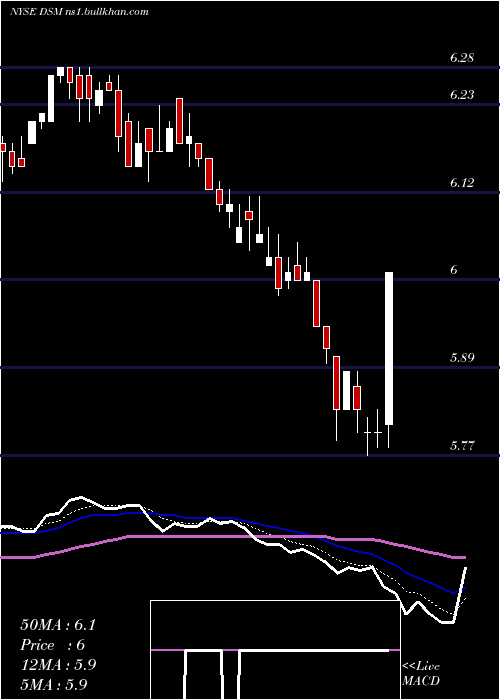  Daily chart DreyfusStrategic