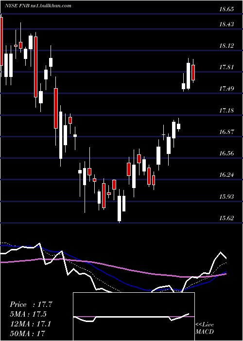  Daily chart FN