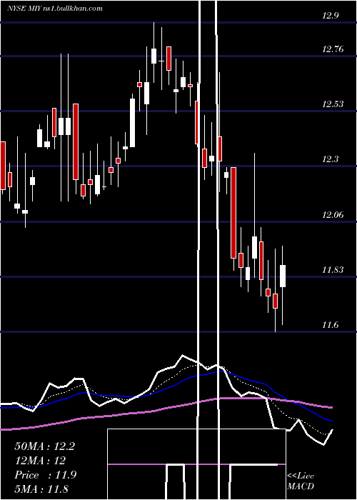  Daily chart BlackrockMuniyield