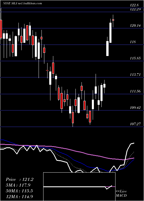  Daily chart MuellerIndustries