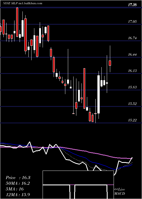  Daily chart MauiLand