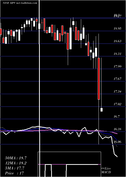  Daily chart BaringsParticipation