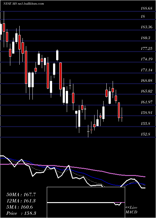  Daily chart MorganStanley