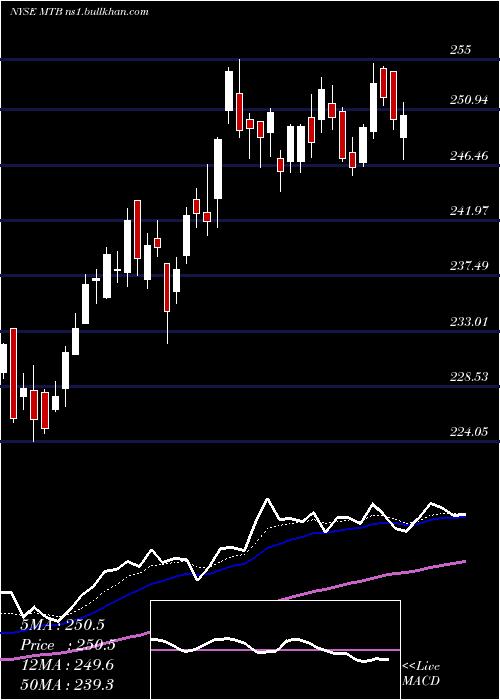  Daily chart MT