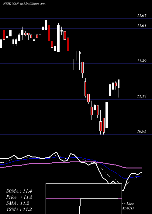  Daily chart NuveenNew