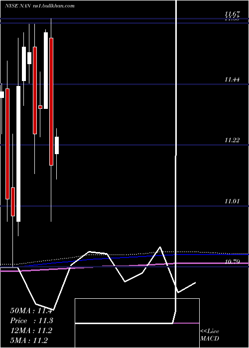  monthly chart NuveenNew