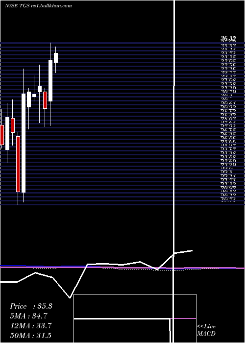  monthly chart TransportadoraDe
