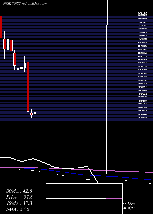  monthly chart TrinetGroup