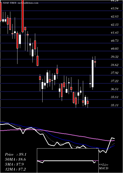  Daily chart TrexCompany