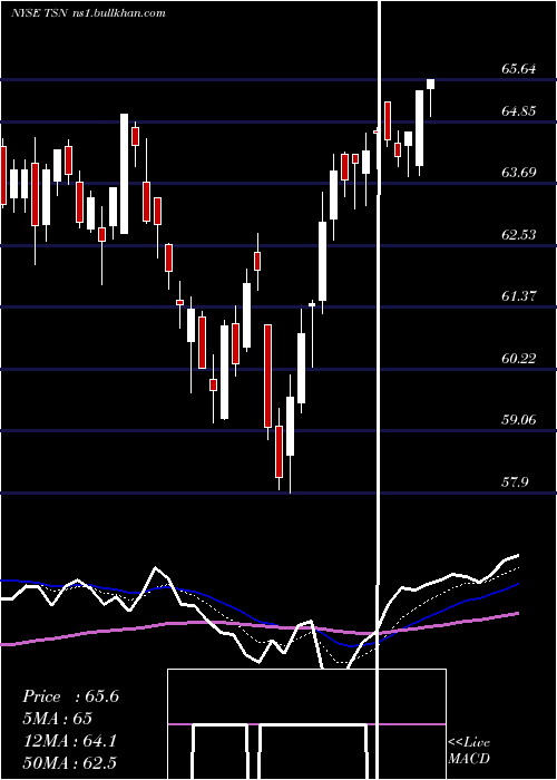  Daily chart TysonFoods