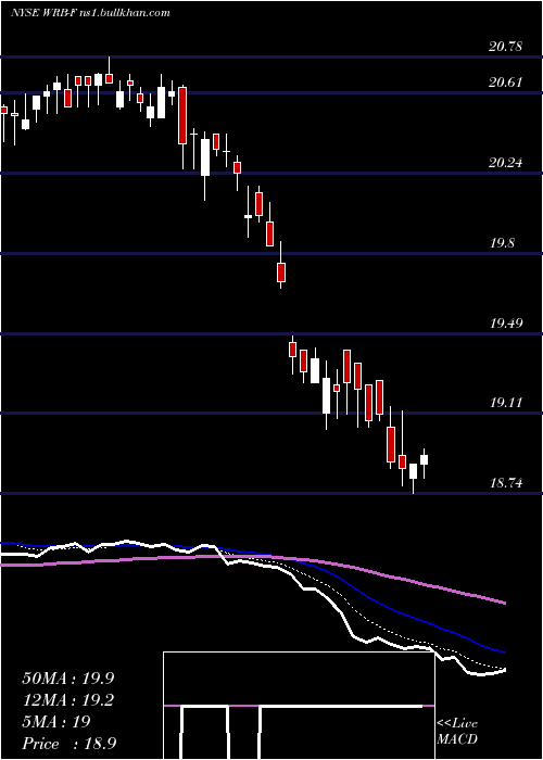  Daily chart BerkleyW