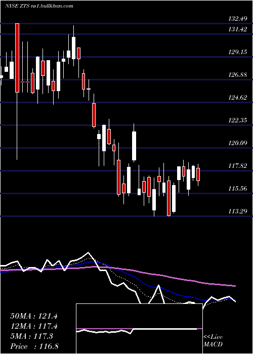  Daily chart ZoetisInc