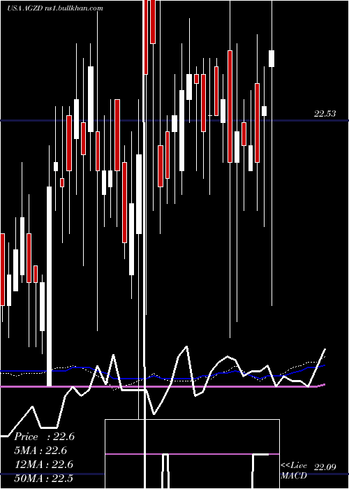  weekly chart WisdomtreeInterest