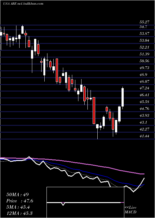  Daily chart AlexandriaReal