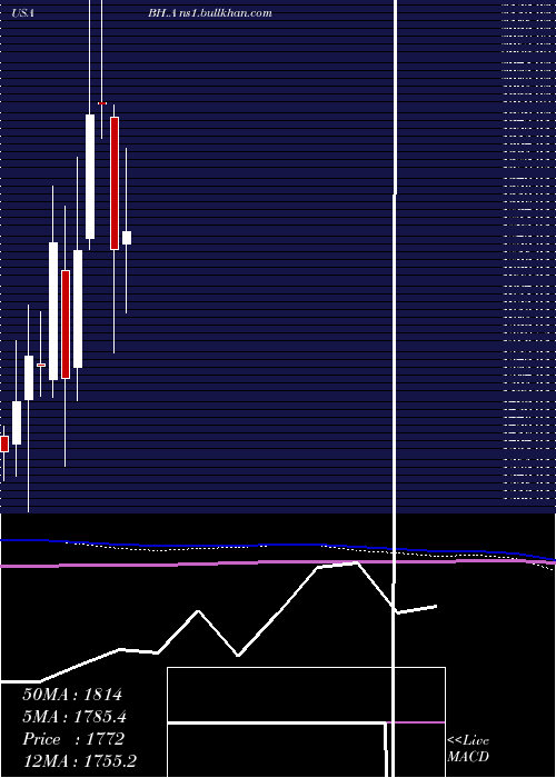  monthly chart BiglariHoldings