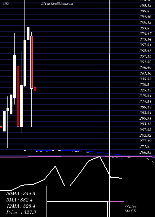  monthly chart BiglariHoldings