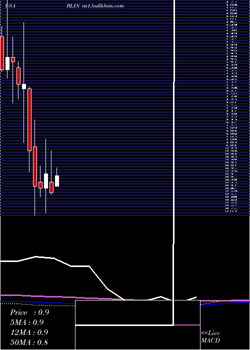 monthly chart BridgelineDigital